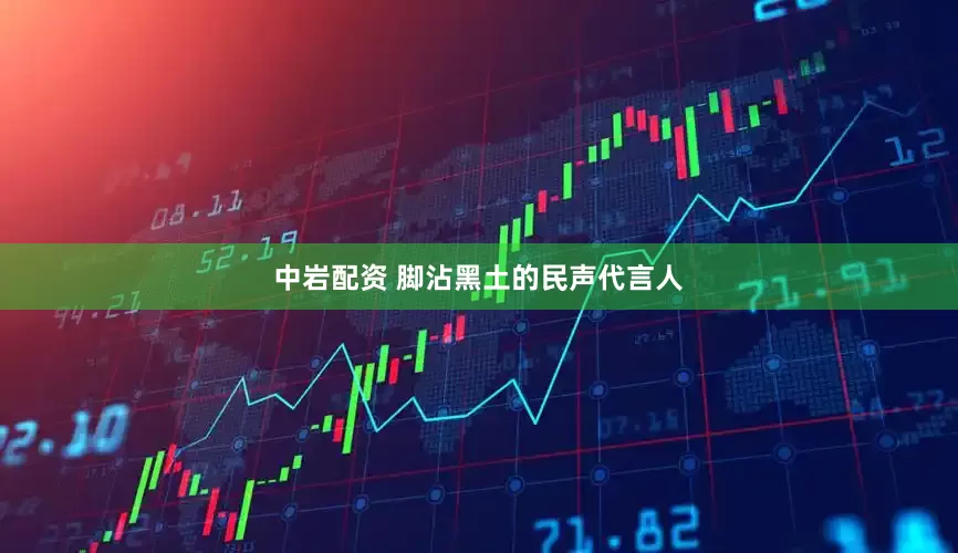 中岩配资 脚沾黑土的民声代言人