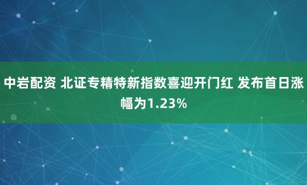 中岩配资 北证专精特新指数喜迎开门红 发布首日涨幅为1.23%