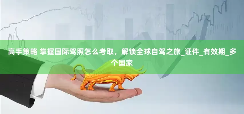 高手策略 掌握国际驾照怎么考取，解锁全球自驾之旅_证件_有效期_多个国家